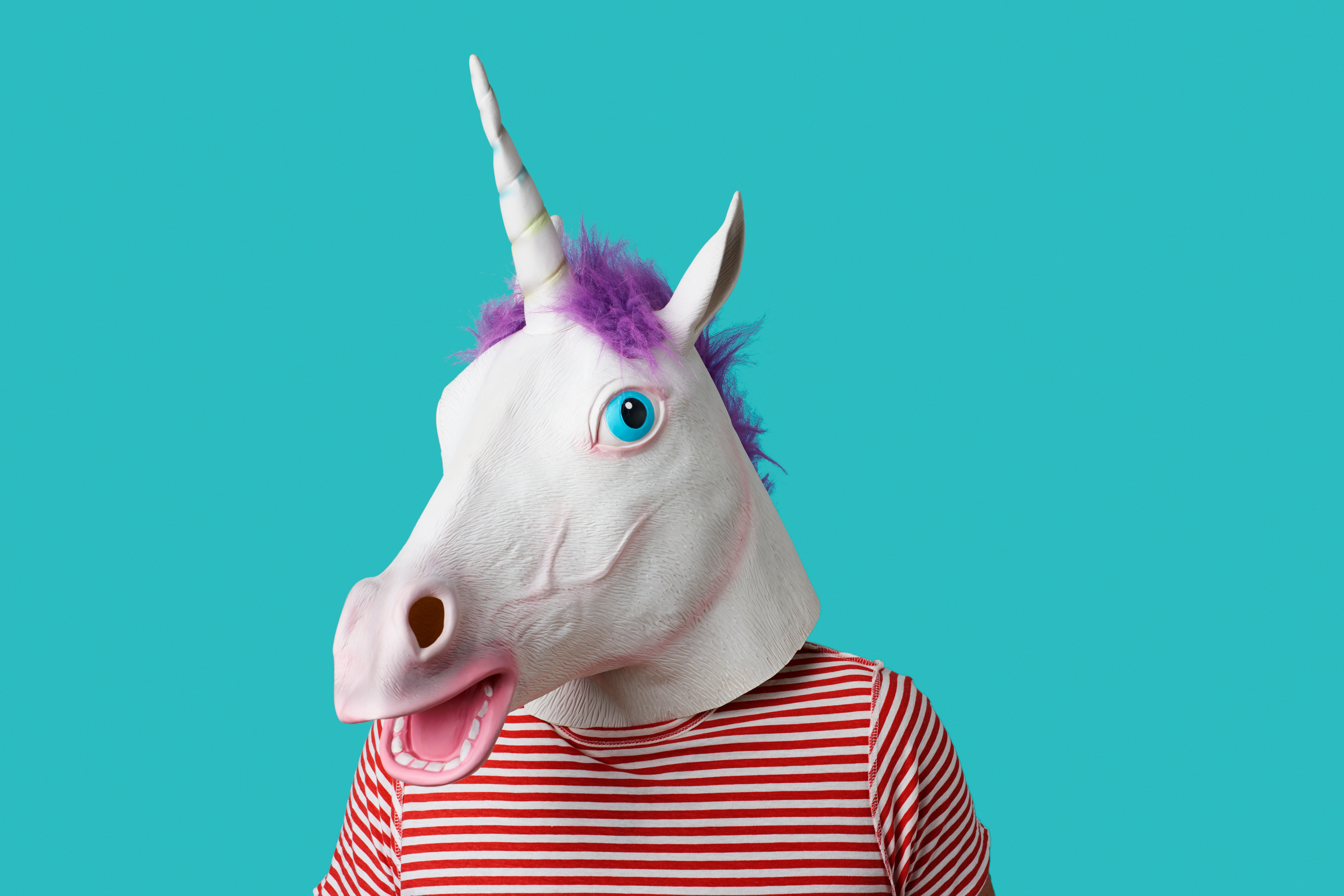 Unicorn Head